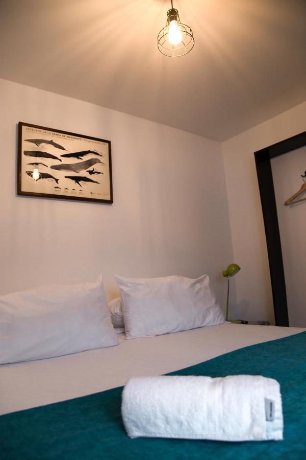 Hostal Boutique Terra Antarctica Πούντα Αρένας Εξωτερικό φωτογραφία